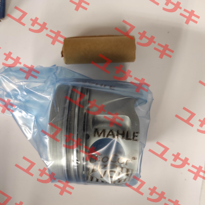 029 82 00 MAHLE