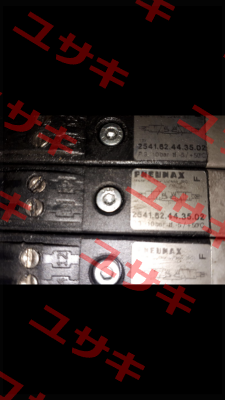 2541.62.44.35.02(24V/DC) Pneumax