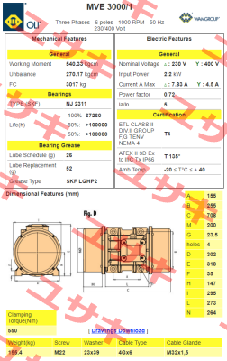 EN60300075A0JA0000  Type MVE 3000/1 Oli
