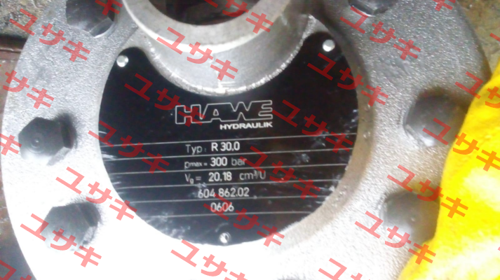 R 30,0 (D 6010 (02/2000-06) Hawe