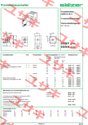 H263-41300-033V4 Salzer