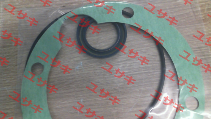 SEAL KIT for GR70-SMT16B pump Settima