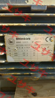 173R3163A3131  Bronzoni