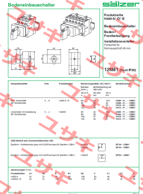 H410-41300-126M1 Salzer