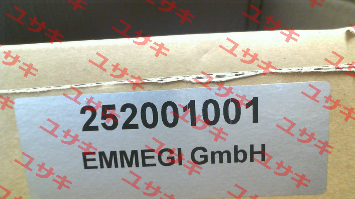 2020K (252001001 ) Emmegi