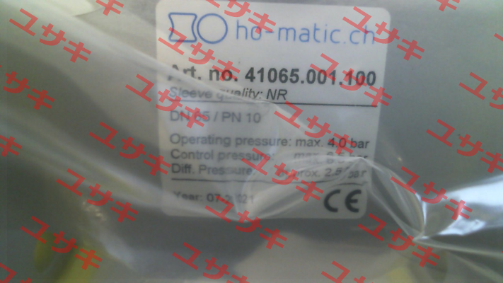 41065.001.100 (QSV65 F) Ho-Matic AG