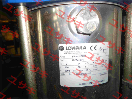 Cylinder for SV-607F75T, Cod:1C2541371  Lowara