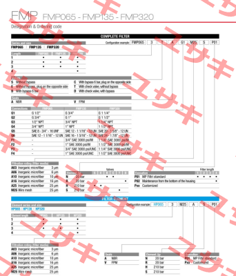 FMP-320-2-S-A-G1-A06-H-P01 MP Filtri