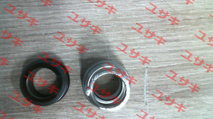 Mechanical seal for NM25/160AE-60  2013408020 Calpeda