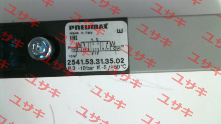 2541.53.31.35.02 Pneumax